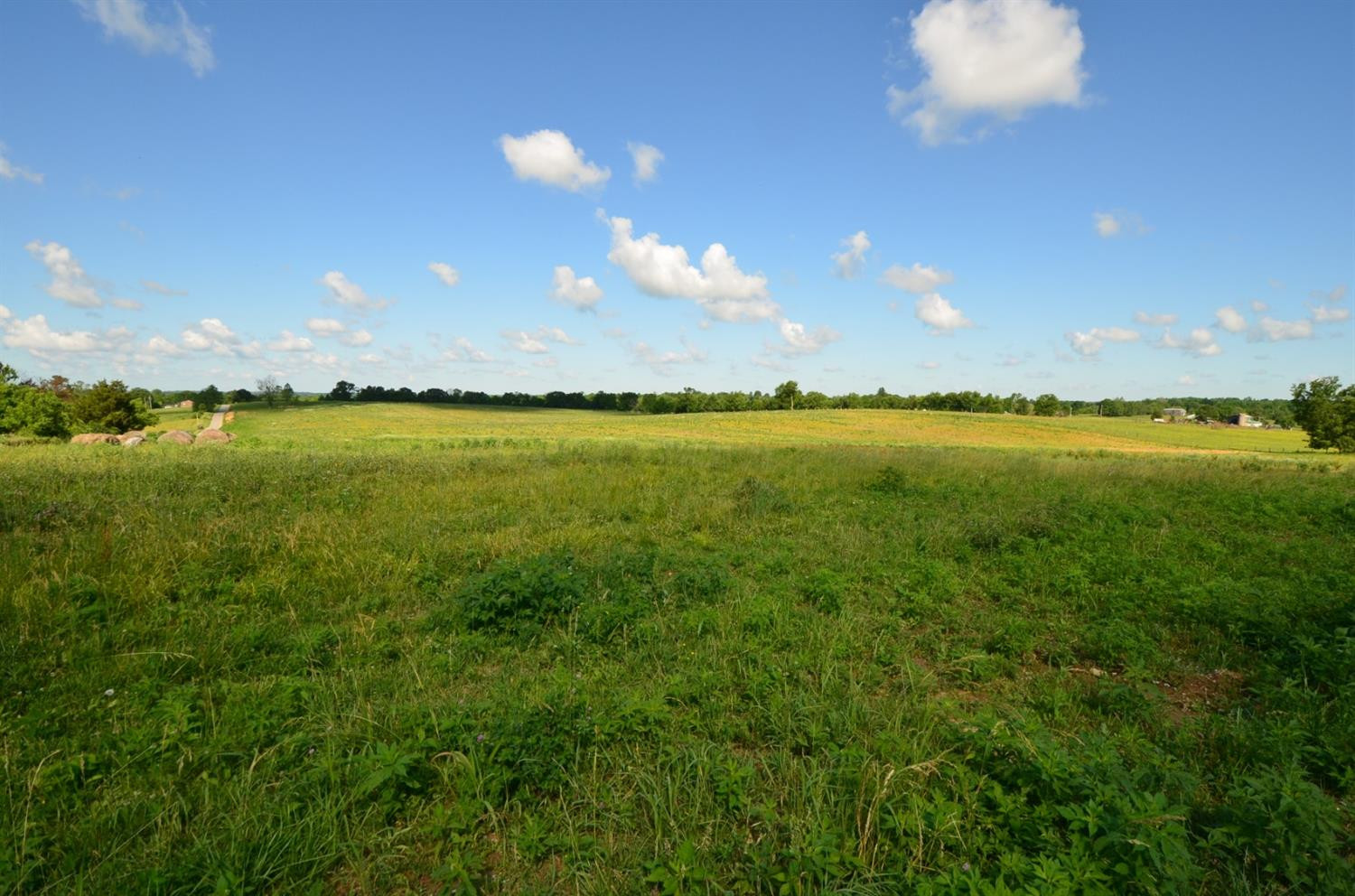 225 Wheat School Road Salvisa, KY 40372 - Photo 6 of 10 Photo 6
