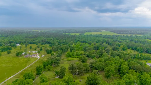 a view of a garden with a wooden bridge