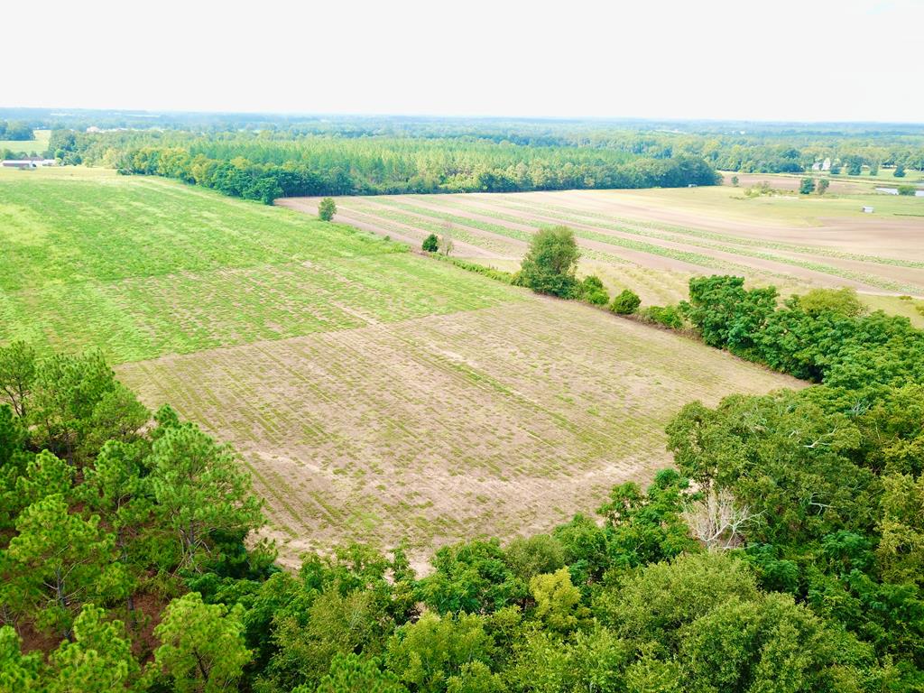 10.69-acres Summer Road Slocomb, AL 36375 - Photo 37 of 51