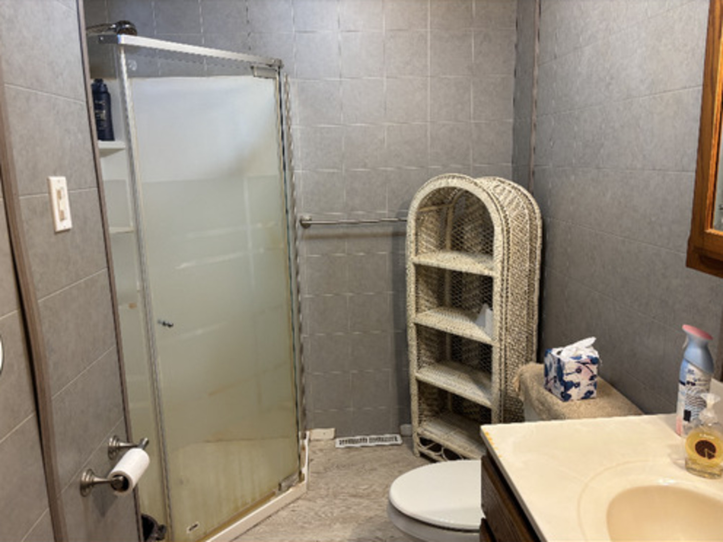 201 South Carson Street Long Point, IL 61333 - Photo 19 of 20 a bathroom with a sink a toilet and shower