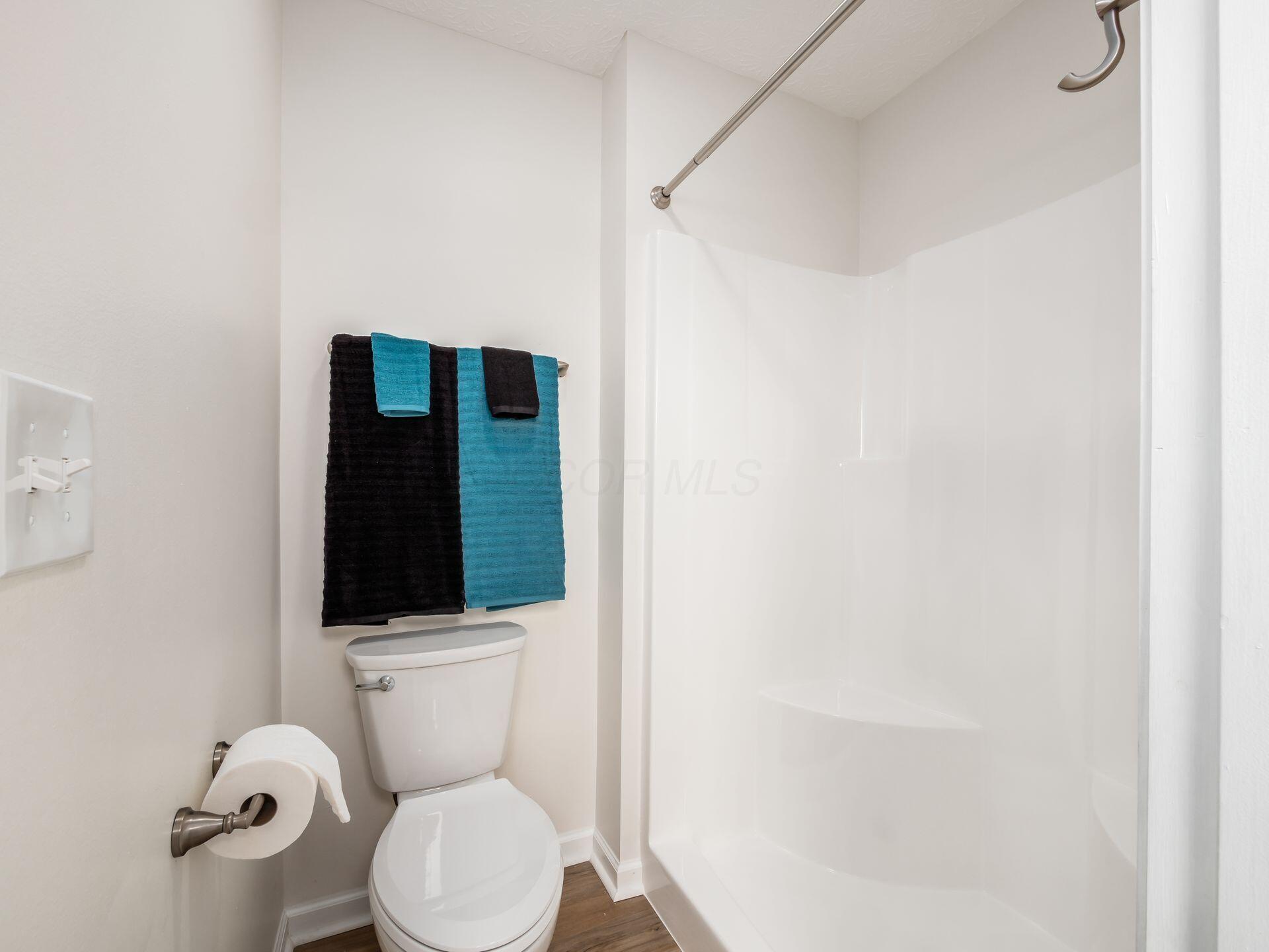 46 Tabilore Loop Delaware, OH 43015 - Photo 26 of 34 Wide shower