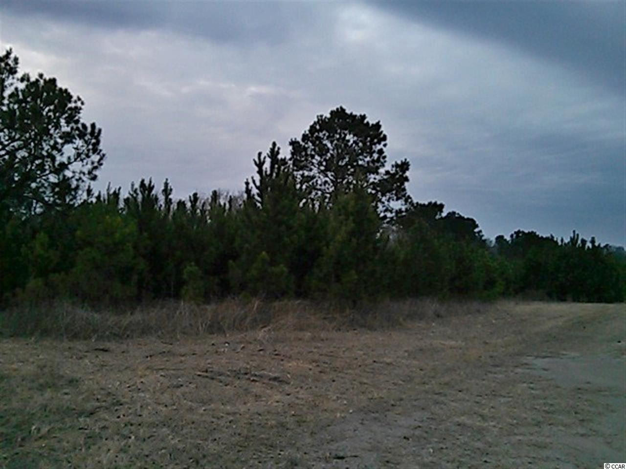 1-5 Daisy Road Loris, SC 29569 - Photo 1 of 1 Gallery Image 1