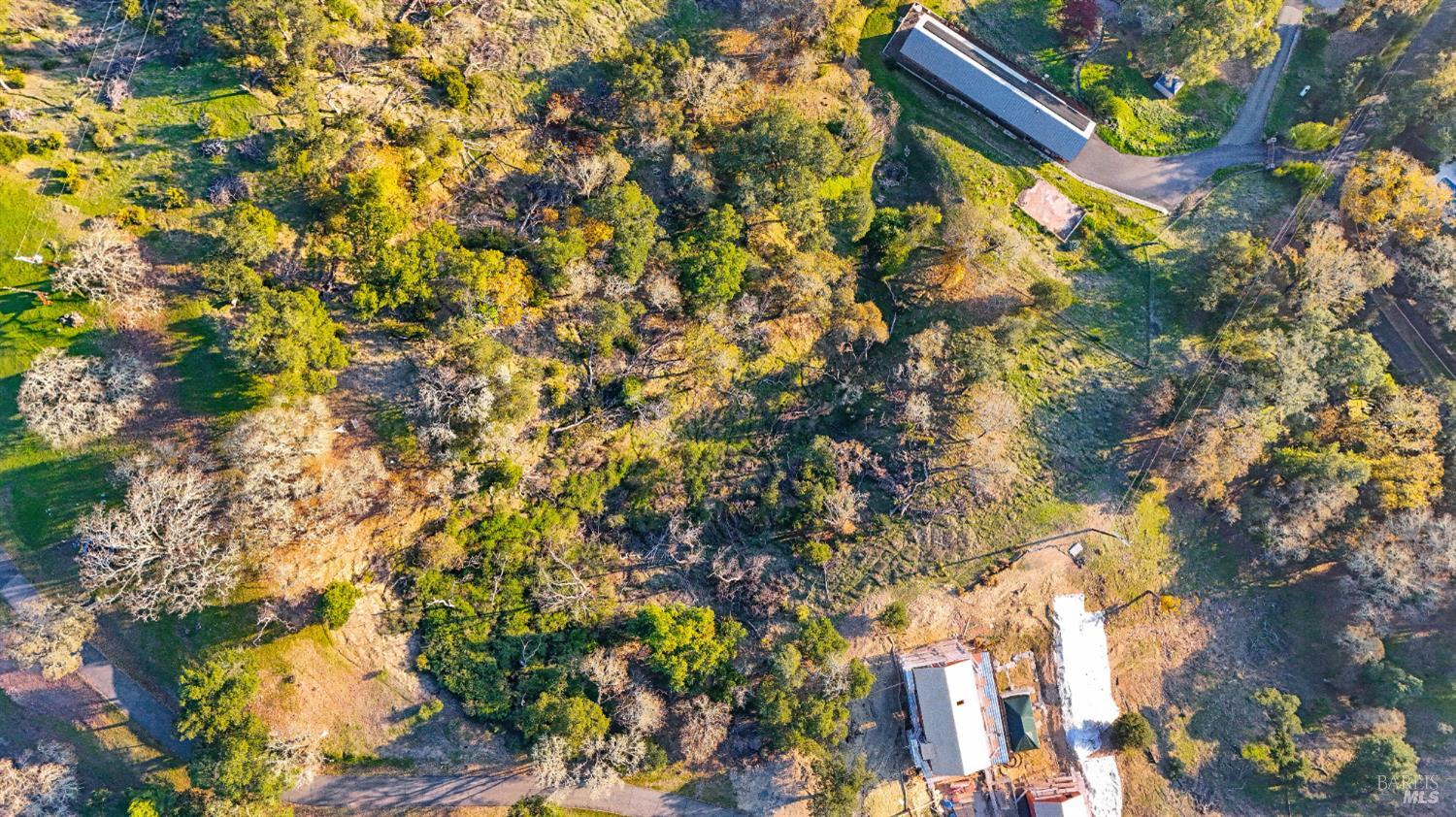 13370 Saddle Road Glen Ellen, CA 95442 - Photo 14 of 14 a view of a tree