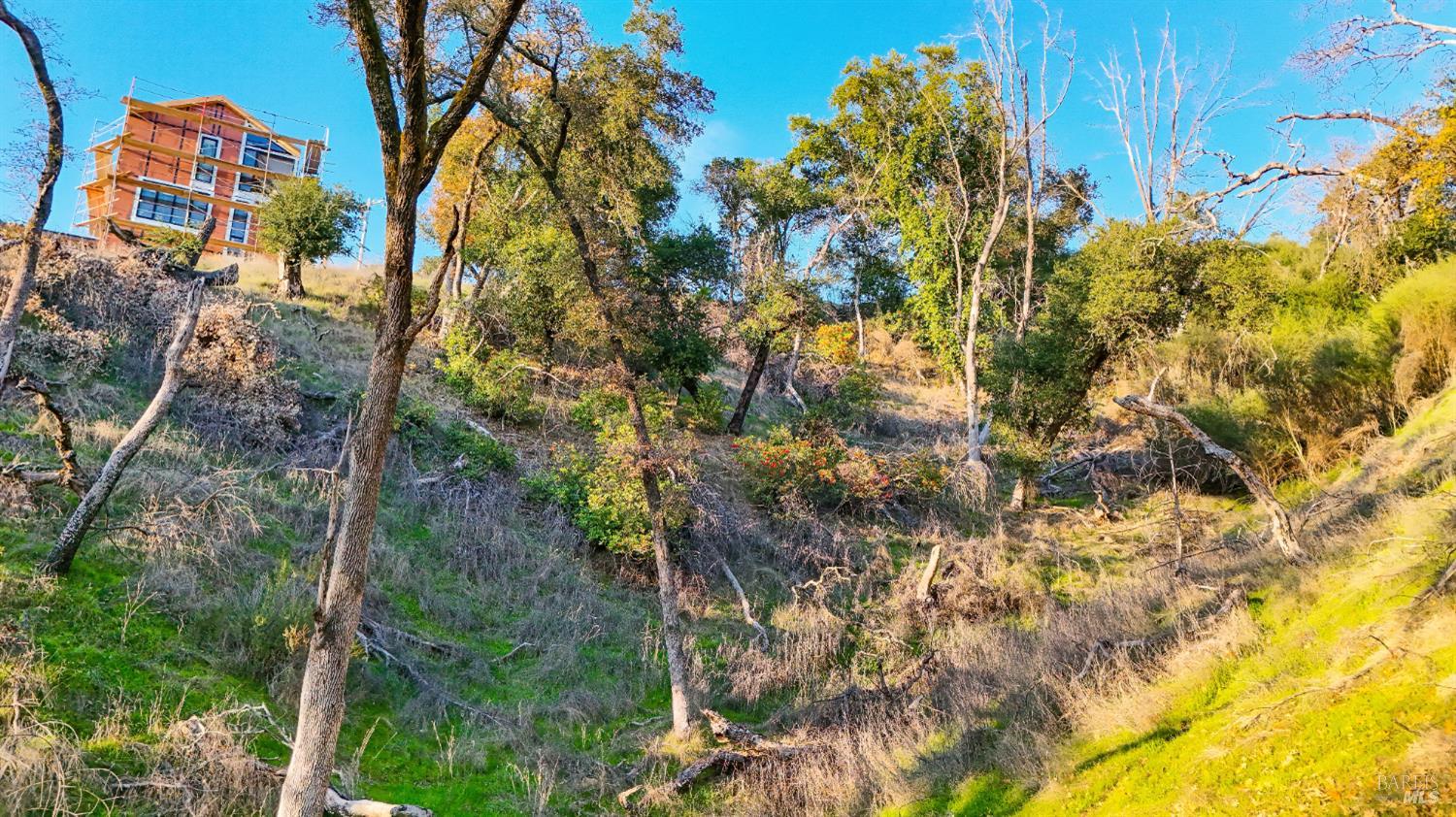 13370 Saddle Road Glen Ellen, CA 95442 - Photo 9 of 14 a backyard of a house with lots of trees