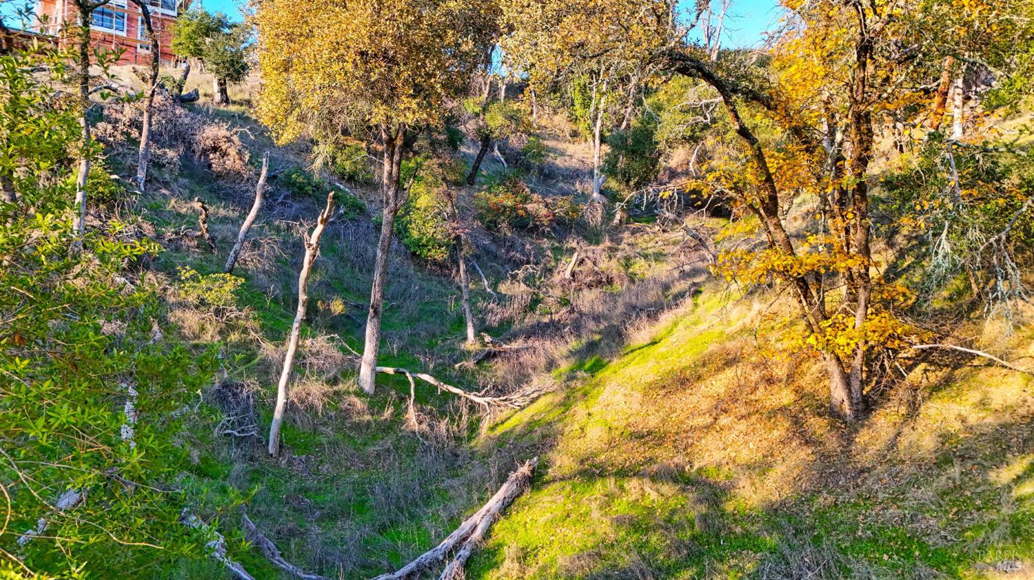 13370 Saddle Road Glen Ellen, CA 95442 - Photo 10 of 14 a backyard of a house with lots of green space