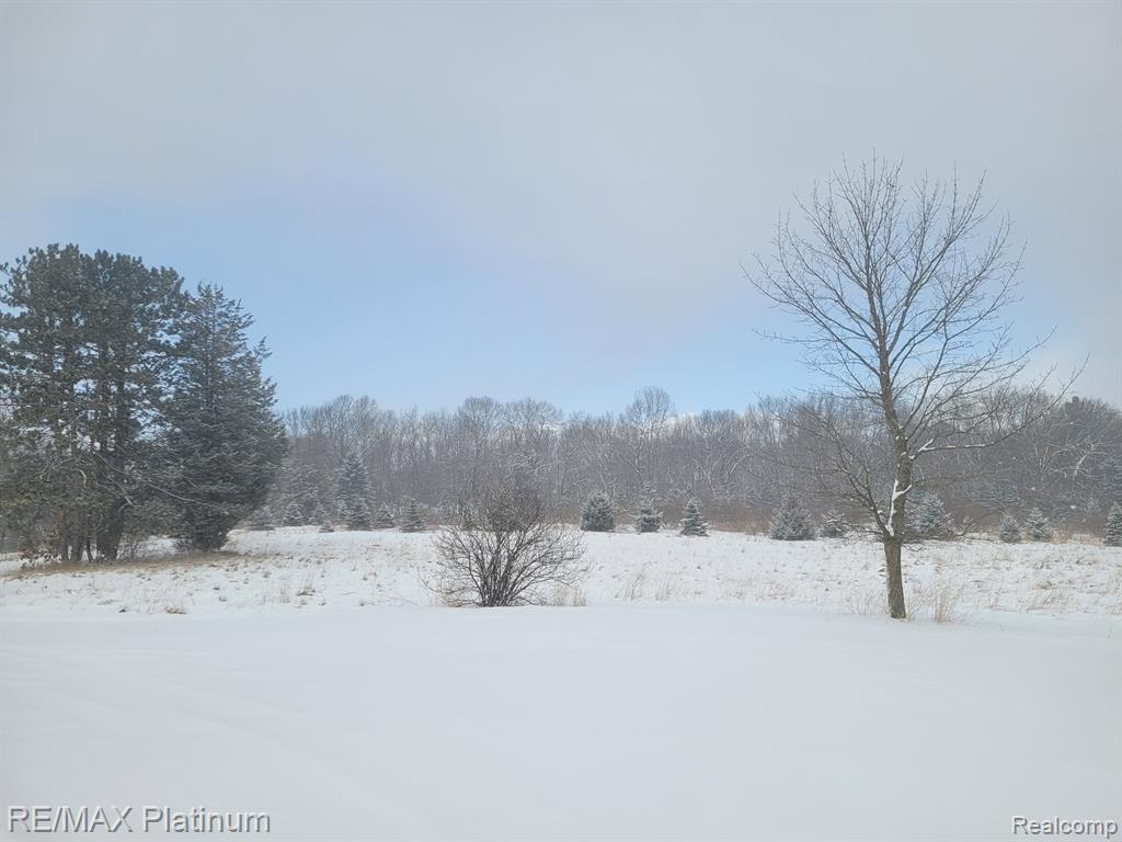 Parc B Tipsico Lake Road Hartland, MI 48353 - Photo 20 of 22