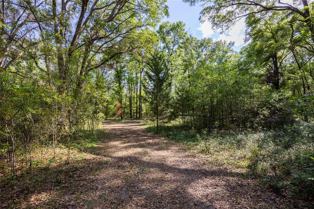 11630 Northwest 161st Street Alachua, FL 32615 - Photo 17 of 32