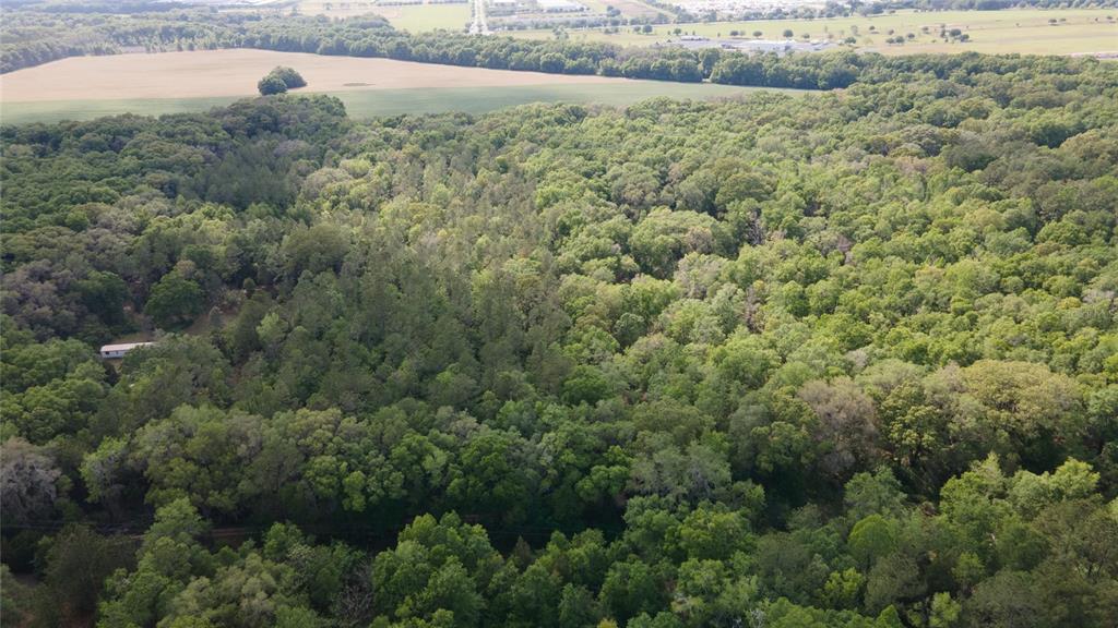 11630 Northwest 161st Street Alachua, FL 32615 - Photo 28 of 32