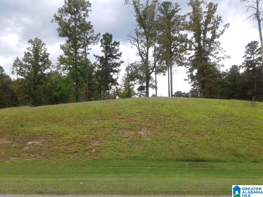 Lot 7 A Mcmahon Highland Road, Unit 7A Calera, AL 35040 - Photo 1 of 6