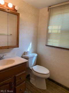 291 Glenview Road Canfield, OH 44406 - Photo 9 of 22 Gallery Image 9