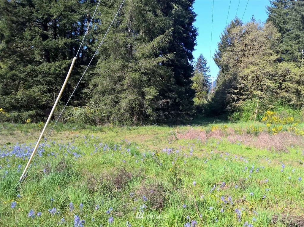 11910 170th Avenue Southwest Rochester, WA 98579 - Photo 2 of 14 Gallery Image 2