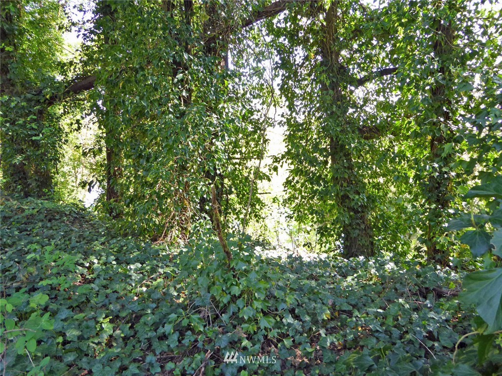 11910 170th Avenue Southwest Rochester, WA 98579 - Photo 12 of 14 Gallery Image 12