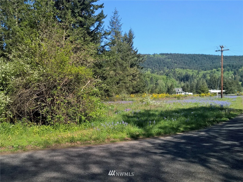 11910 170th Avenue Southwest Rochester, WA 98579 - Photo 3 of 14 Gallery Image 3