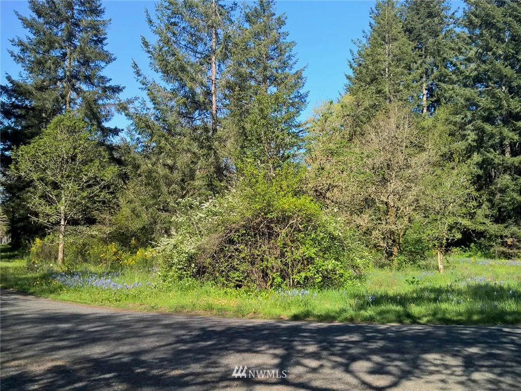 11910 170th Avenue Southwest Rochester, WA 98579 - Photo 5 of 14 Gallery Image 5