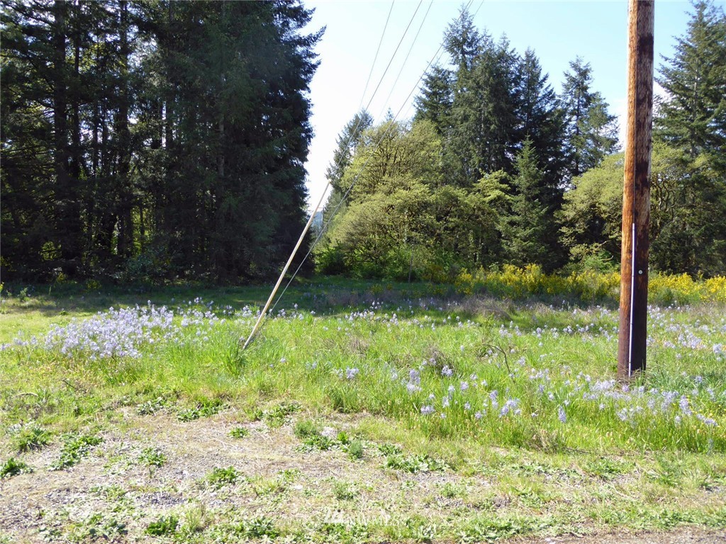 11910 170th Avenue Southwest Rochester, WA 98579 - Photo 7 of 14 Gallery Image 7