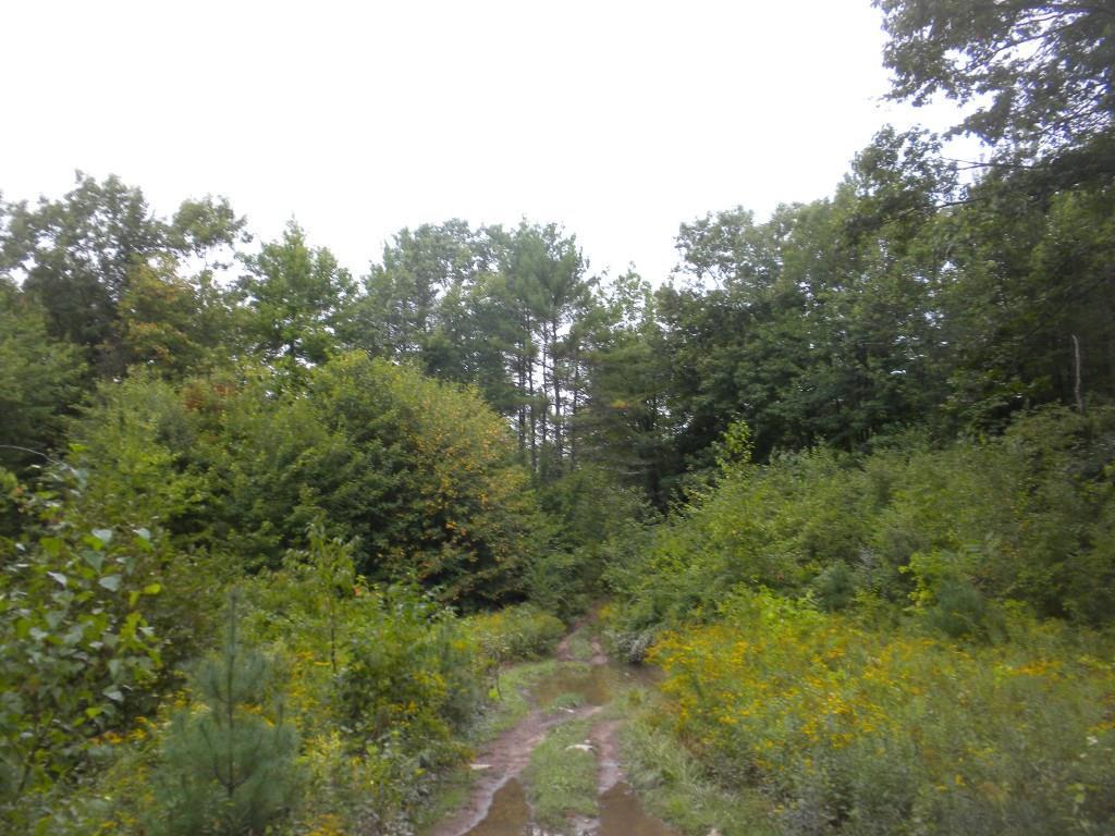 7 River Road Limington, ME 04049 - Photo 9 of 26 Photo