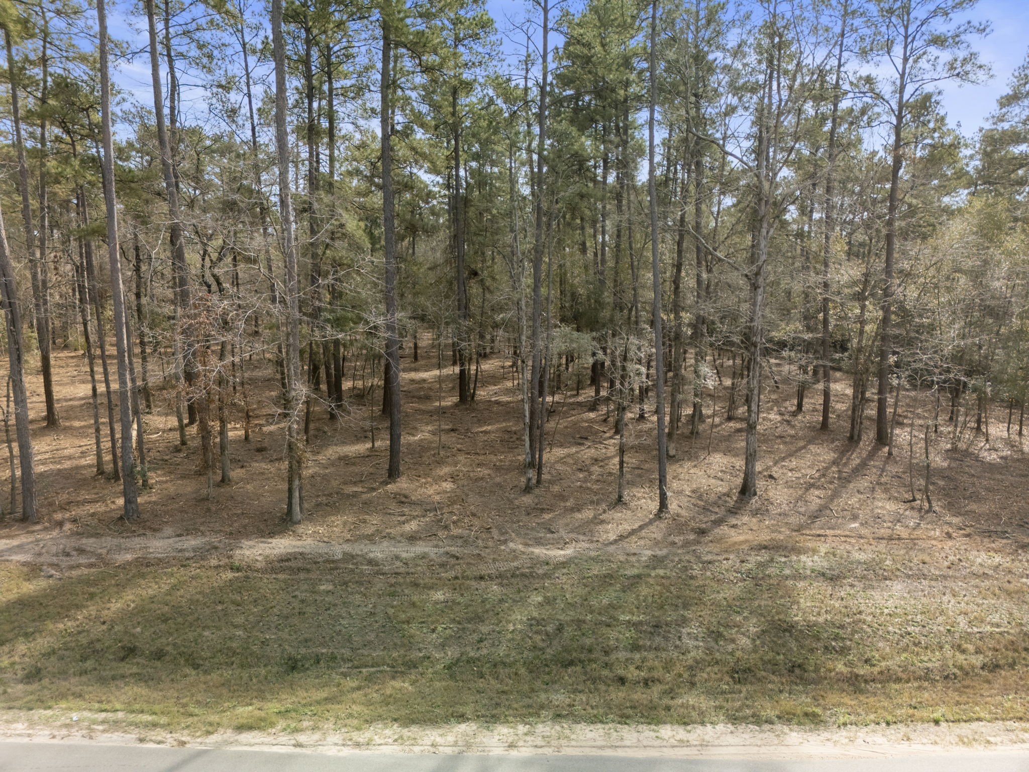 15880 Four Hls Road Willis, TX 77378 - Photo 3 of 25
