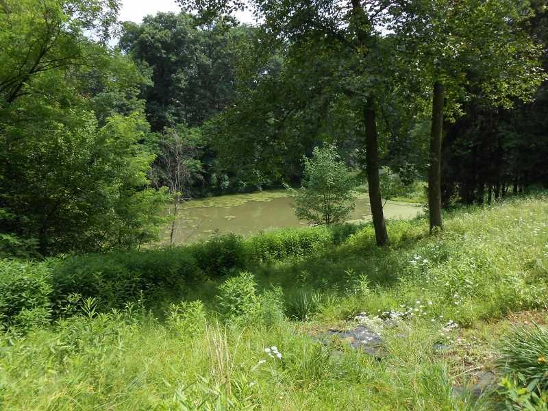 360 Ringland Ridge Road Amity, PA 15311 - Photo 22 of 25 Other.