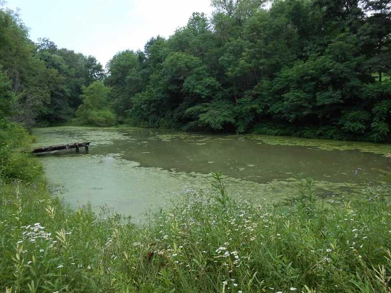 360 Ringland Ridge Road Amity, PA 15311 - Photo 23 of 25 Other.