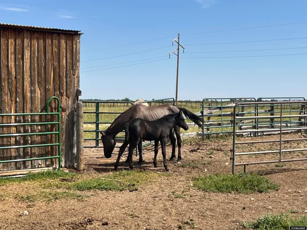 $1,100,000 | 1546 Cr 218 Fort, Mountain View, WY 82939