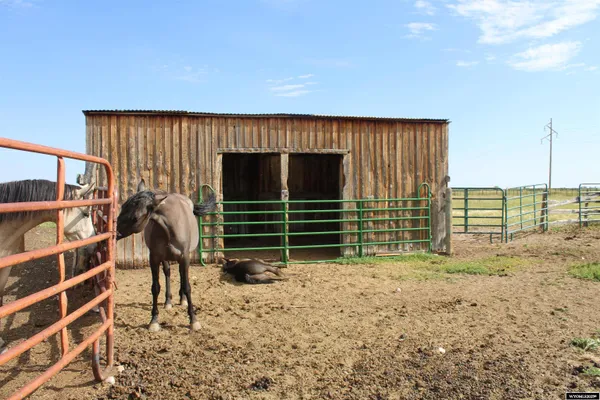 $1,100,000 | 1546 Cr 218 Fort, Mountain View, WY 82939