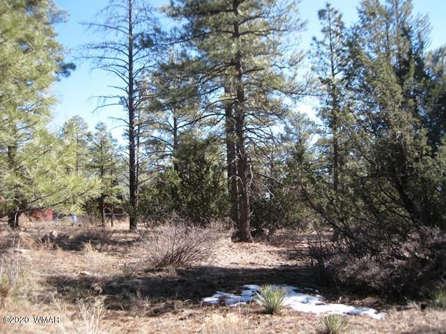 2141 Rimview Trail Overgaard, AZ 85933 - Photo 2 of 7