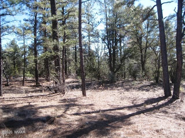 2141 Rimview Trail Overgaard, AZ 85933 - Photo 3 of 7
