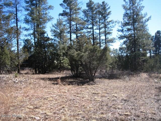 2141 Rimview Trail Overgaard, AZ 85933 - Photo 4 of 7
