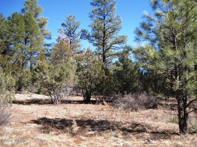 2141 Rimview Trail Overgaard, AZ 85933 - Photo 5 of 7