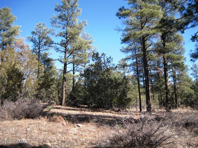 2141 Rimview Trail Overgaard, AZ 85933 - Photo 6 of 7