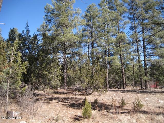 2141 Rimview Trail Overgaard, AZ 85933 - Photo 7 of 7