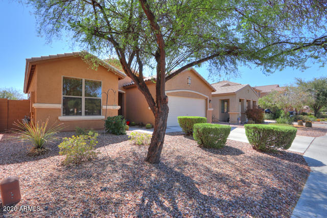17224 North Rosa Drive Maricopa, AZ 85138 - Photo 2 of 35 02