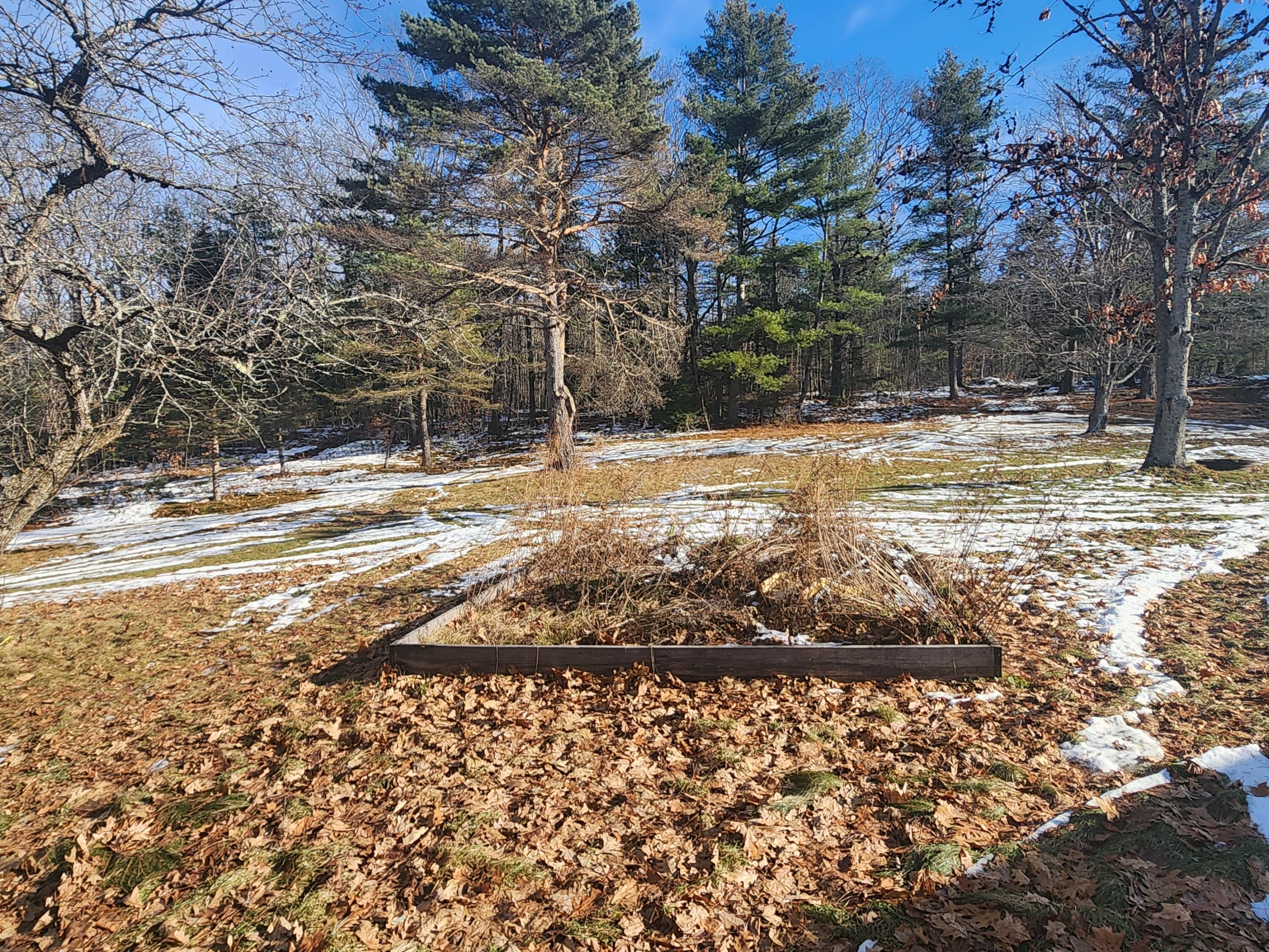 143 Macomber Hill Road Jay, ME 04239 - Photo 8 of 36 20231212_115913