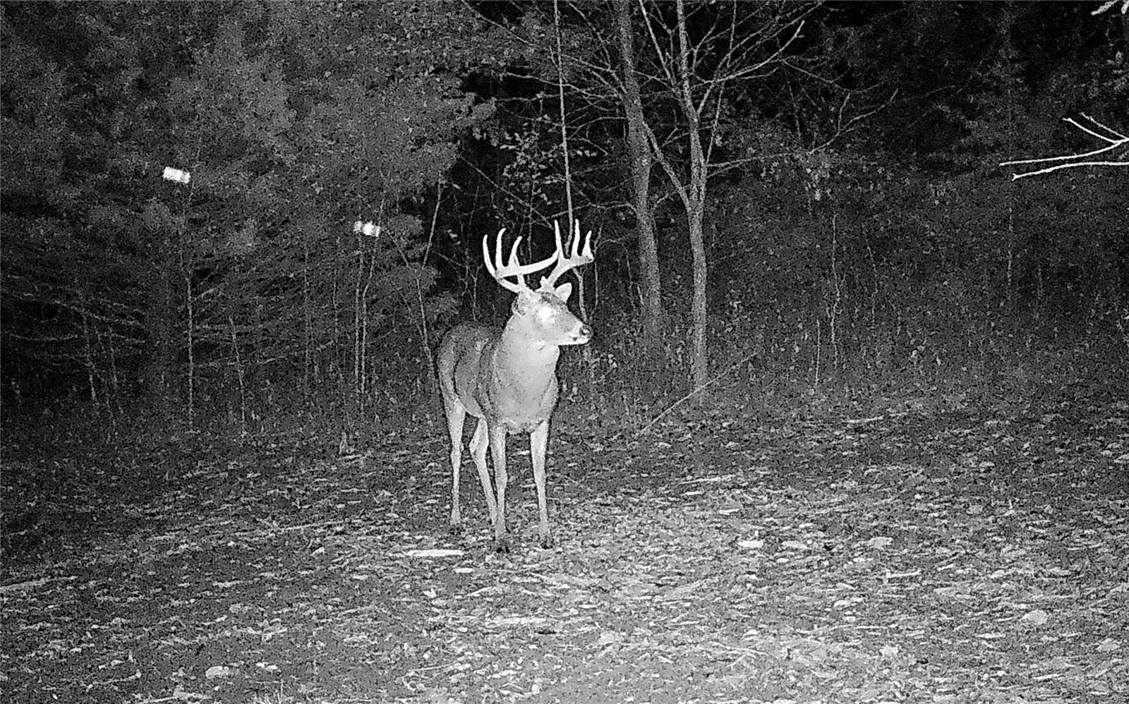0 Mo-ww Eolia, MO 63344 - Photo 1 of 76
