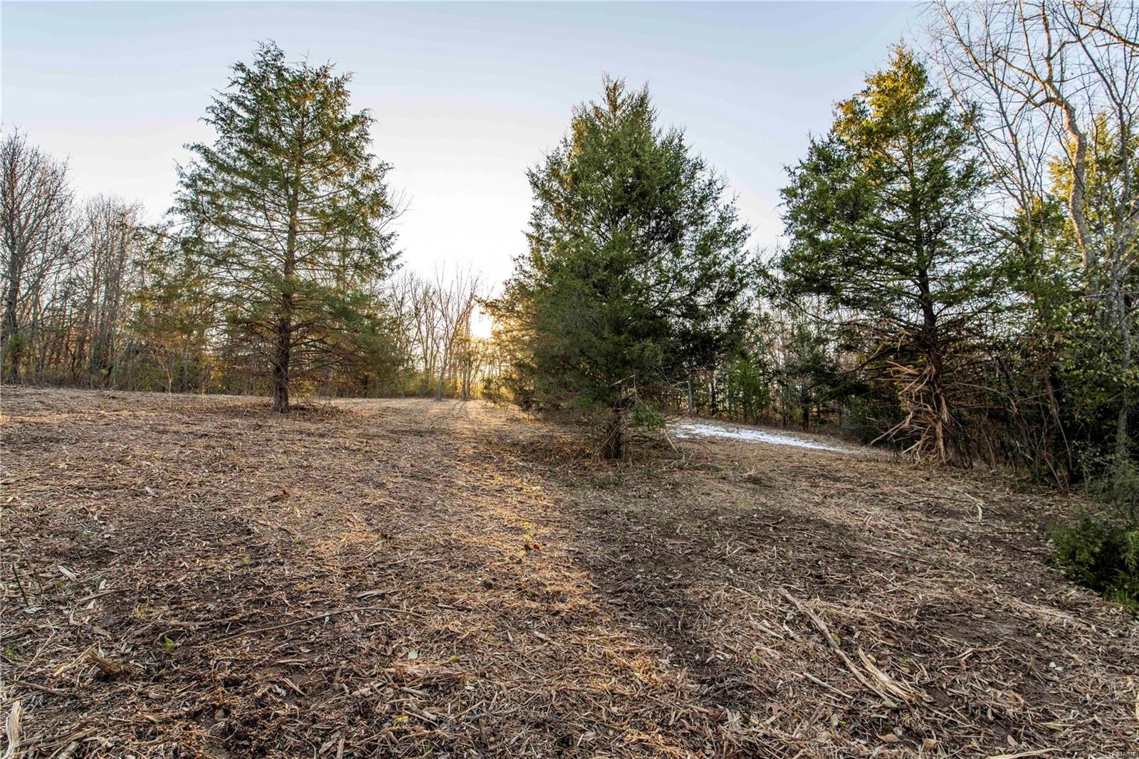 0 Mo-ww Eolia, MO 63344 - Photo 16 of 76