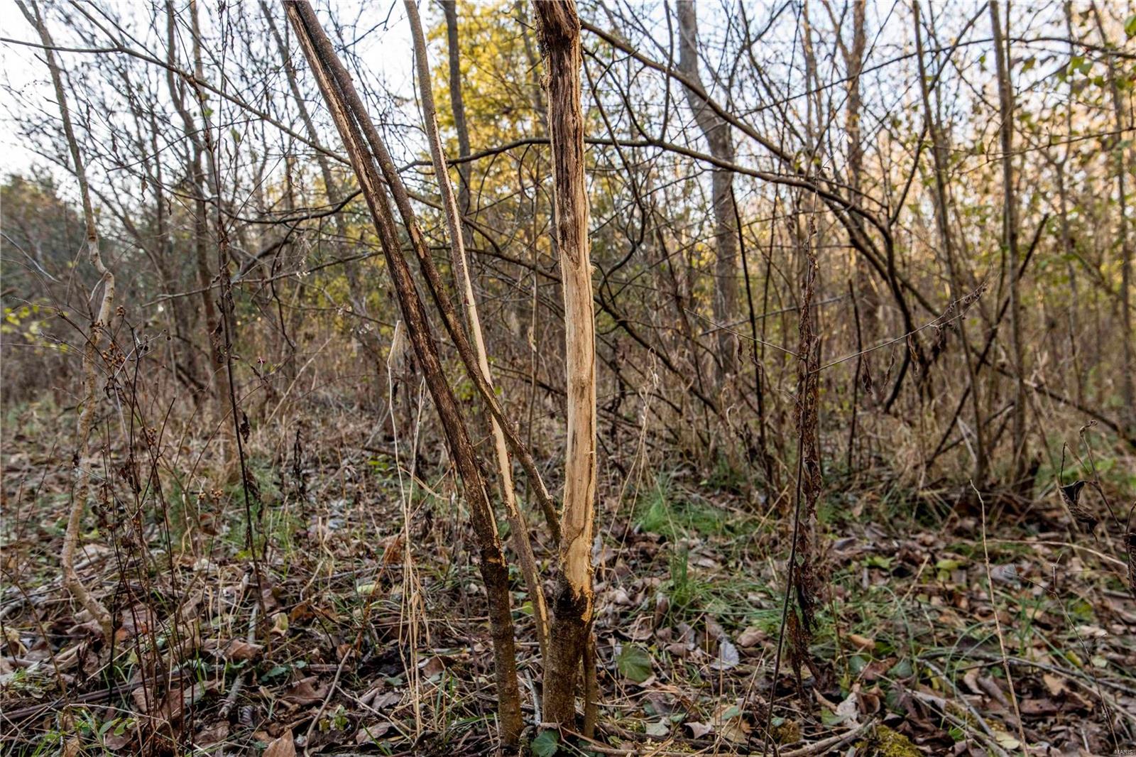 0 Mo-ww Eolia, MO 63344 - Photo 17 of 76