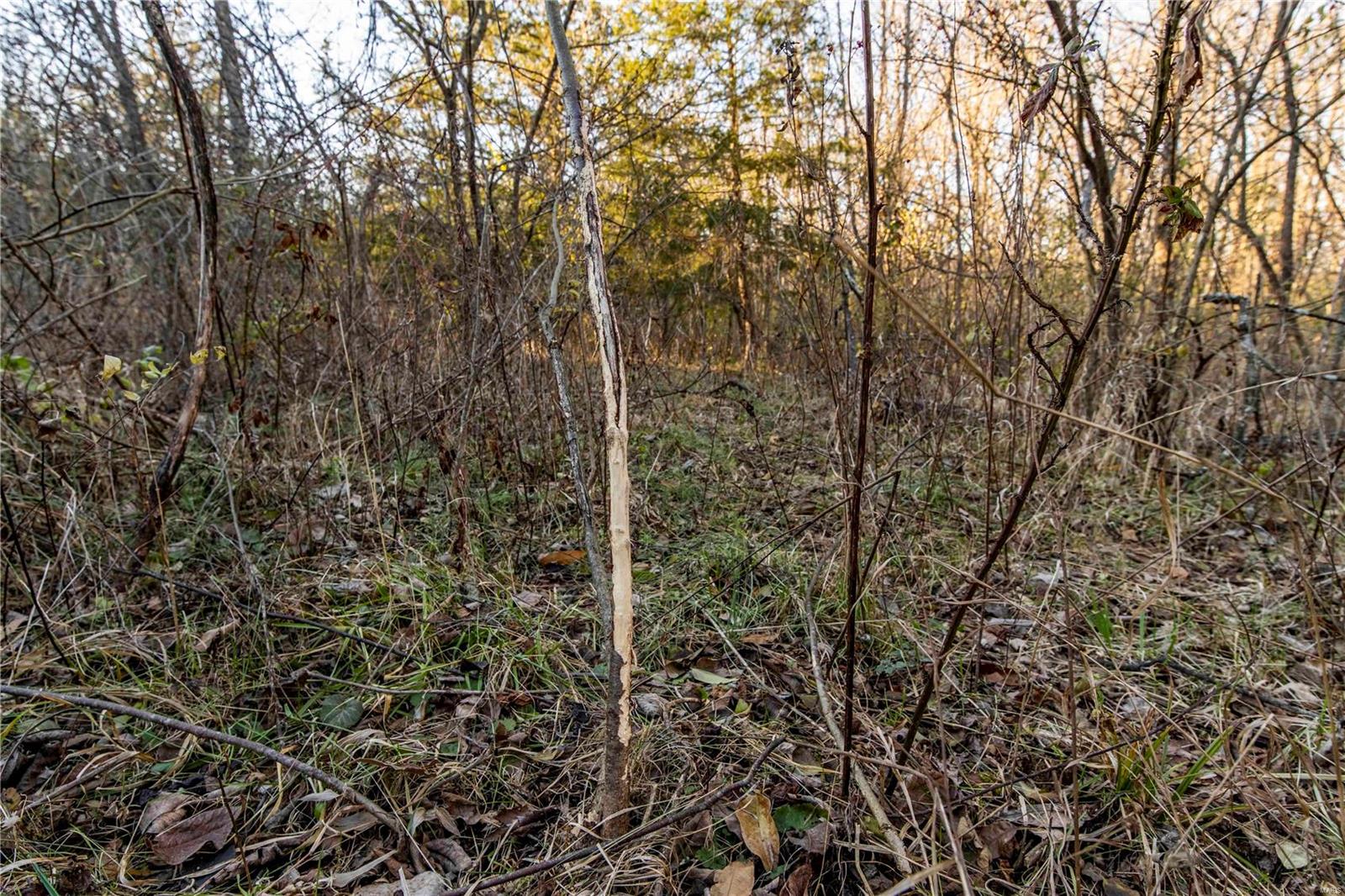 0 Mo-ww Eolia, MO 63344 - Photo 18 of 76