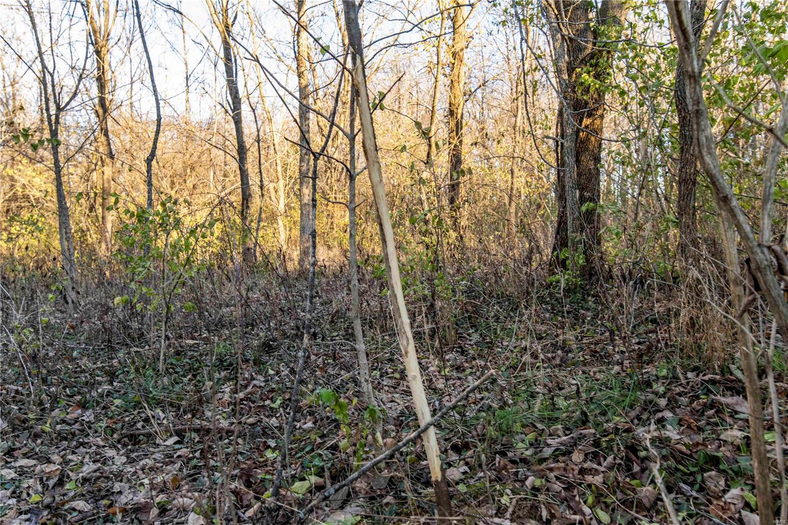 0 Mo-ww Eolia, MO 63344 - Photo 19 of 76