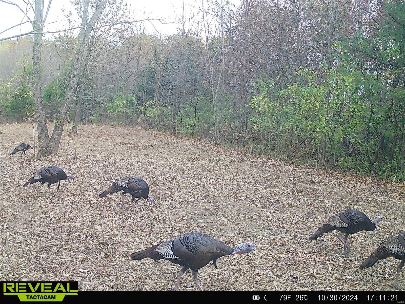 0 Mo-ww Eolia, MO 63344 - Photo 2 of 76