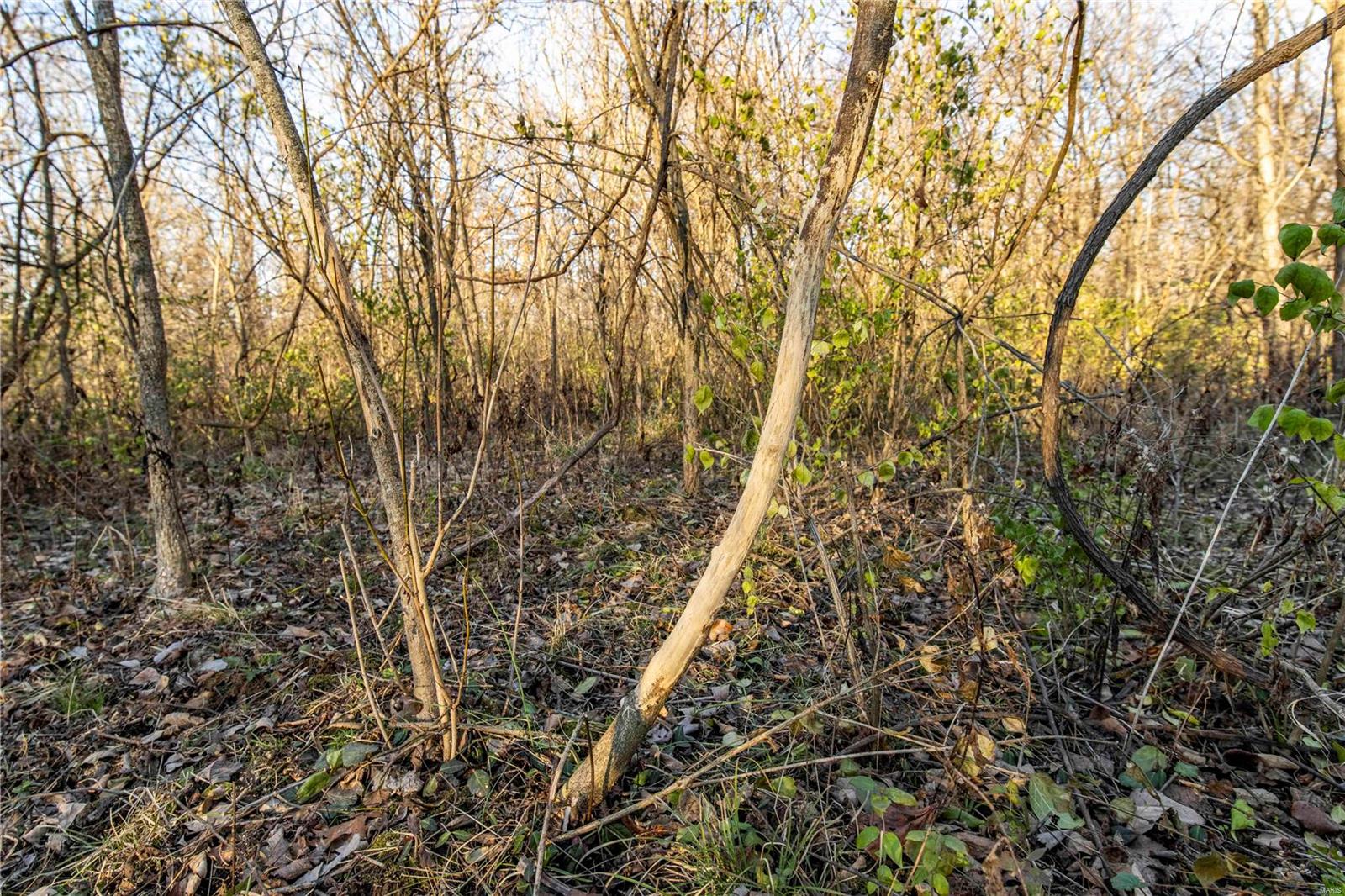 0 Mo-ww Eolia, MO 63344 - Photo 23 of 76