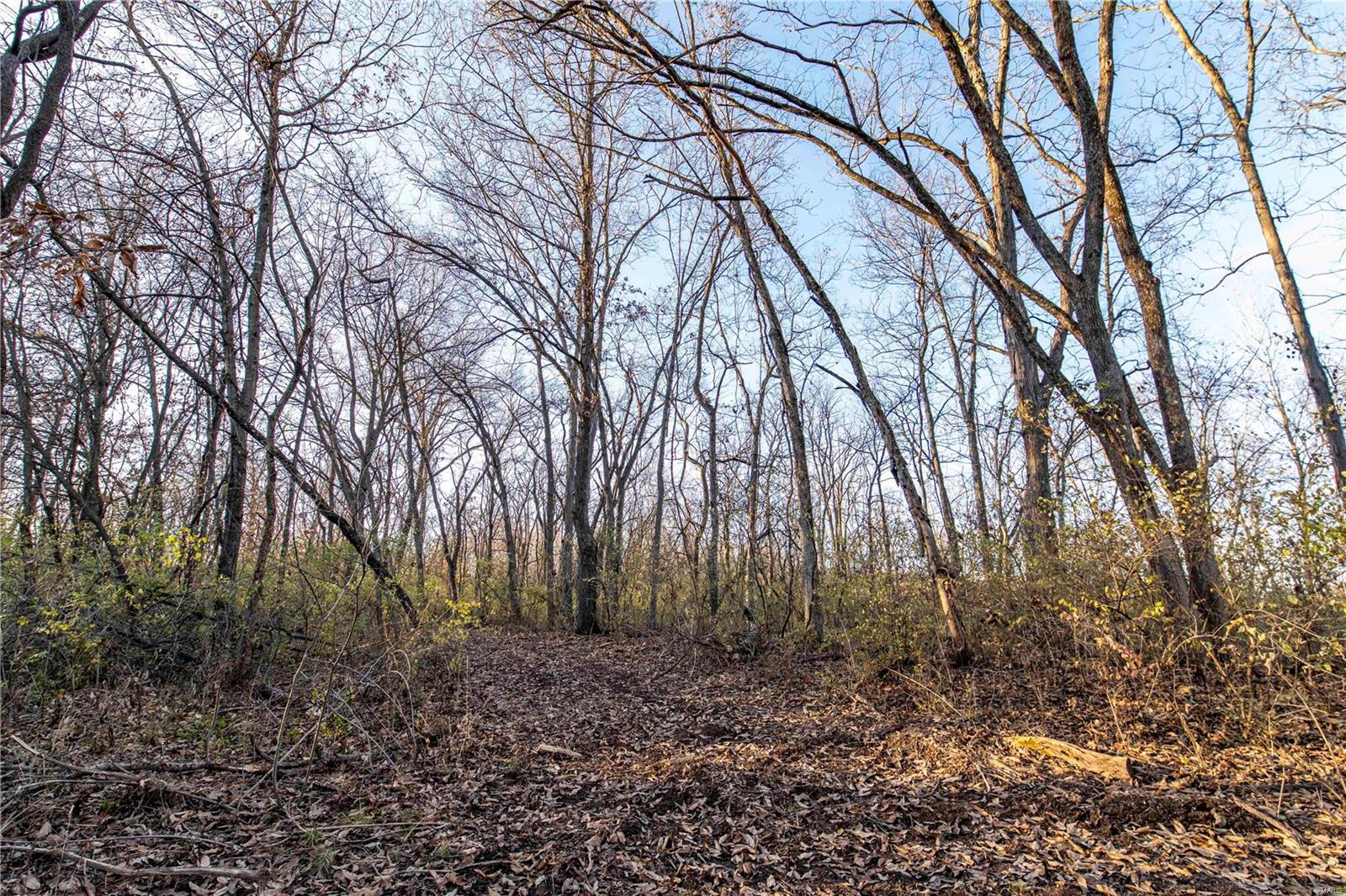 0 Mo-ww Eolia, MO 63344 - Photo 28 of 76