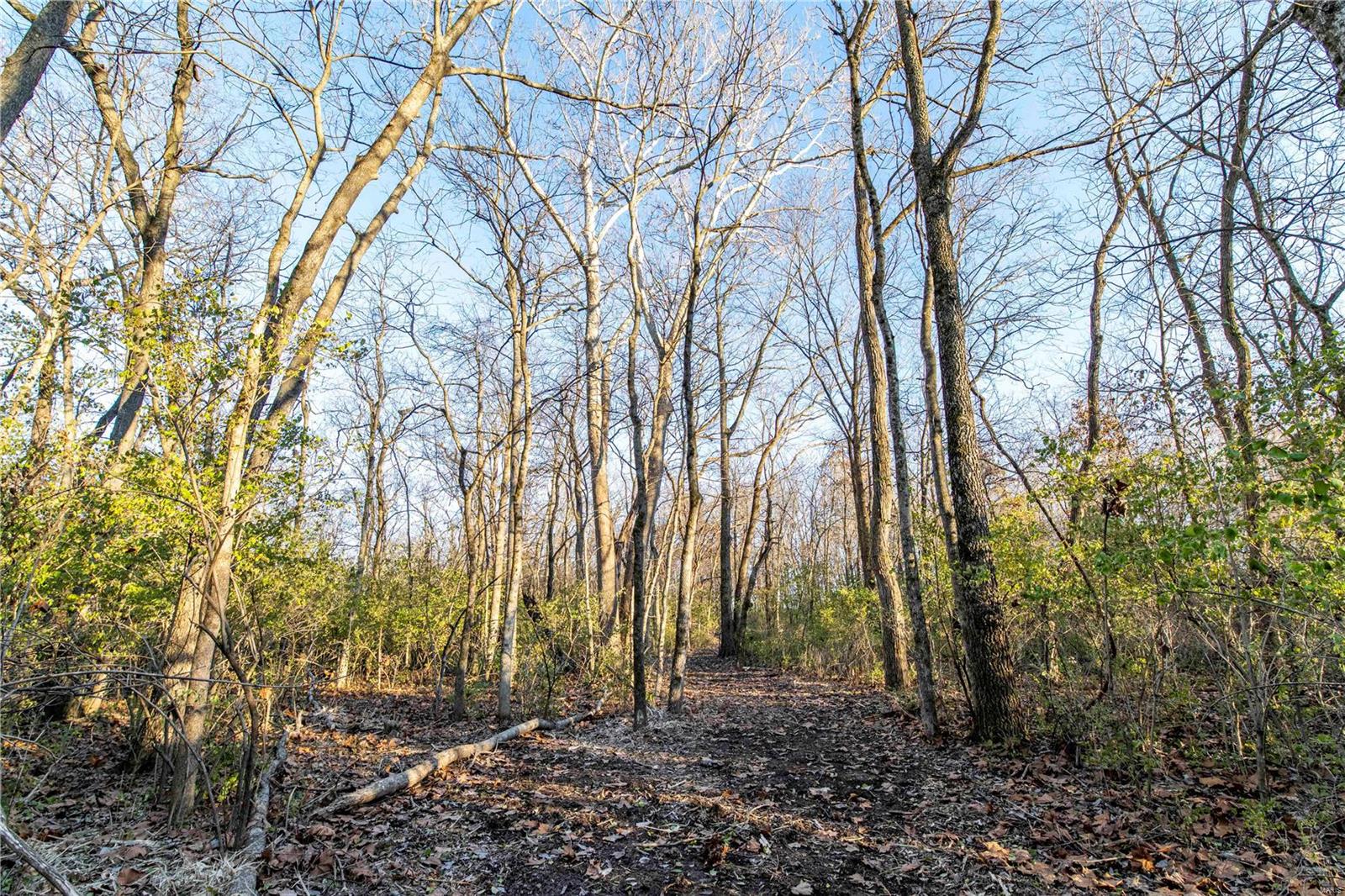 0 Mo-ww Eolia, MO 63344 - Photo 29 of 76