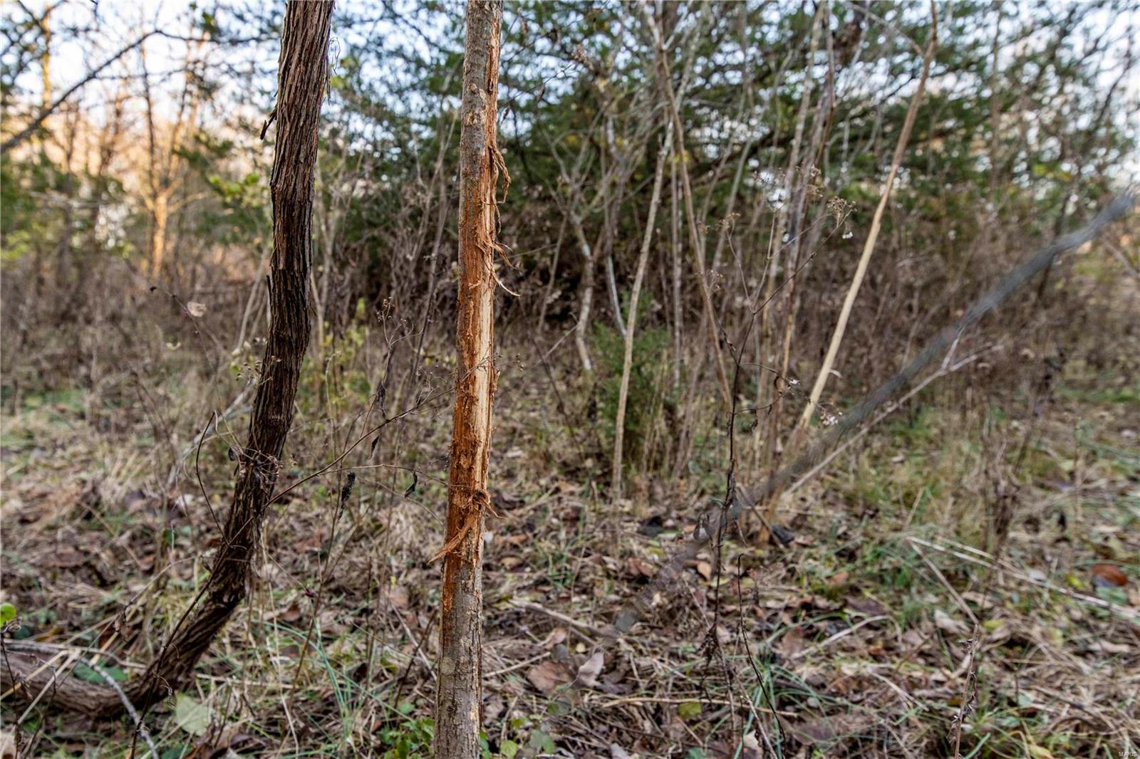 0 Mo-ww Eolia, MO 63344 - Photo 31 of 76