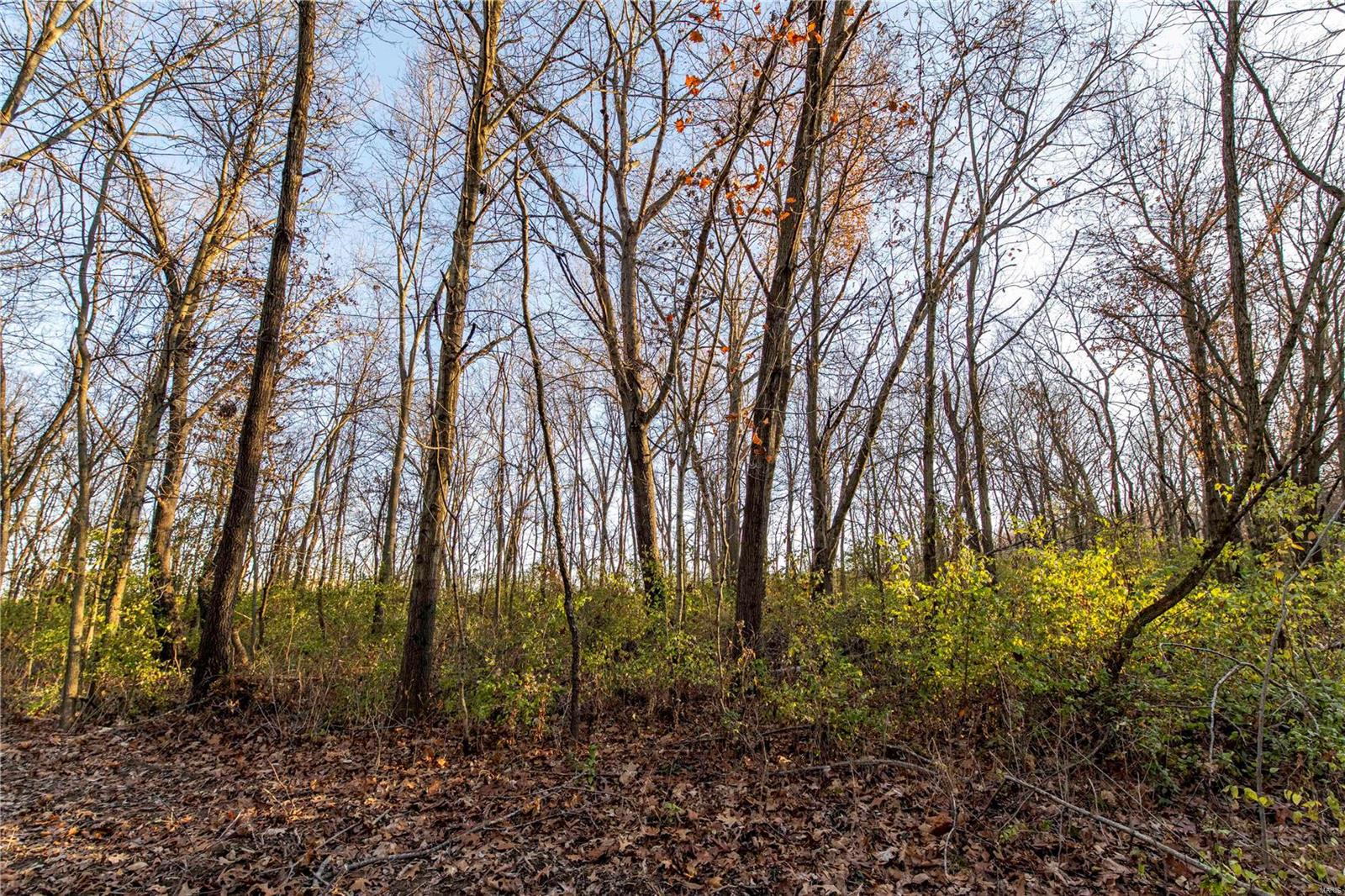 0 Mo-ww Eolia, MO 63344 - Photo 32 of 76