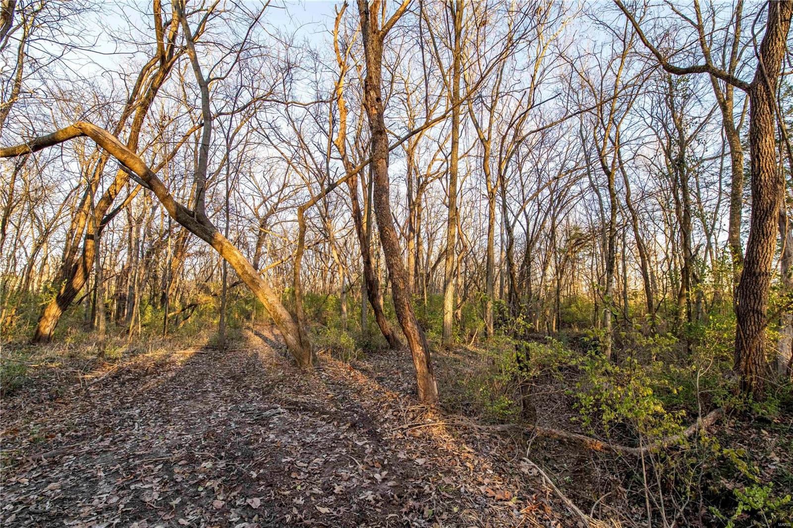 0 Mo-ww Eolia, MO 63344 - Photo 33 of 76