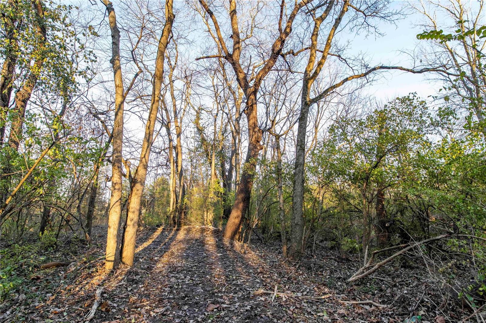 0 Mo-ww Eolia, MO 63344 - Photo 41 of 76