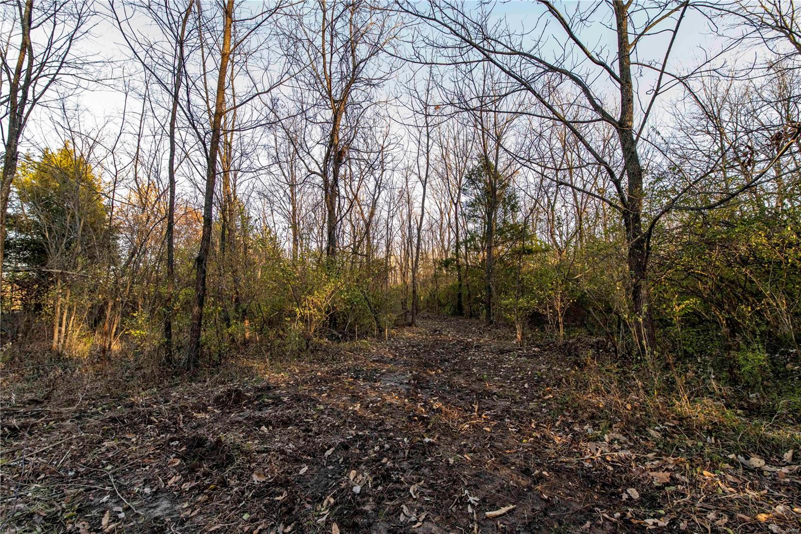 0 Mo-ww Eolia, MO 63344 - Photo 42 of 76