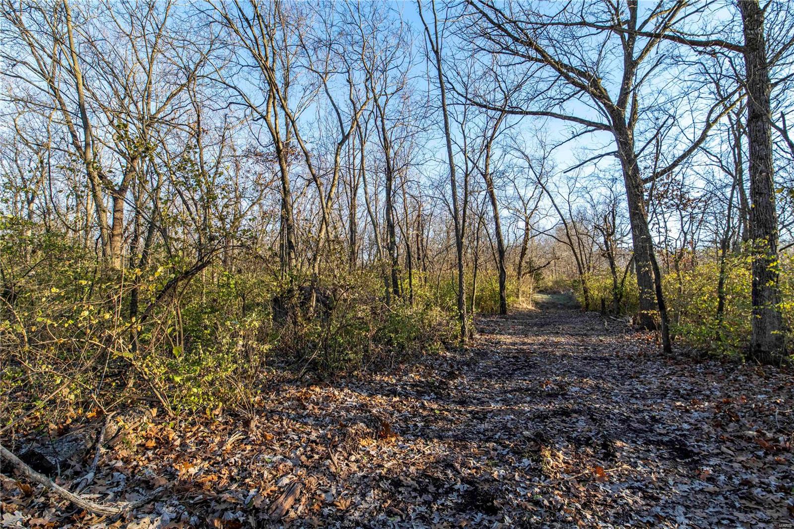 0 Mo-ww Eolia, MO 63344 - Photo 46 of 76