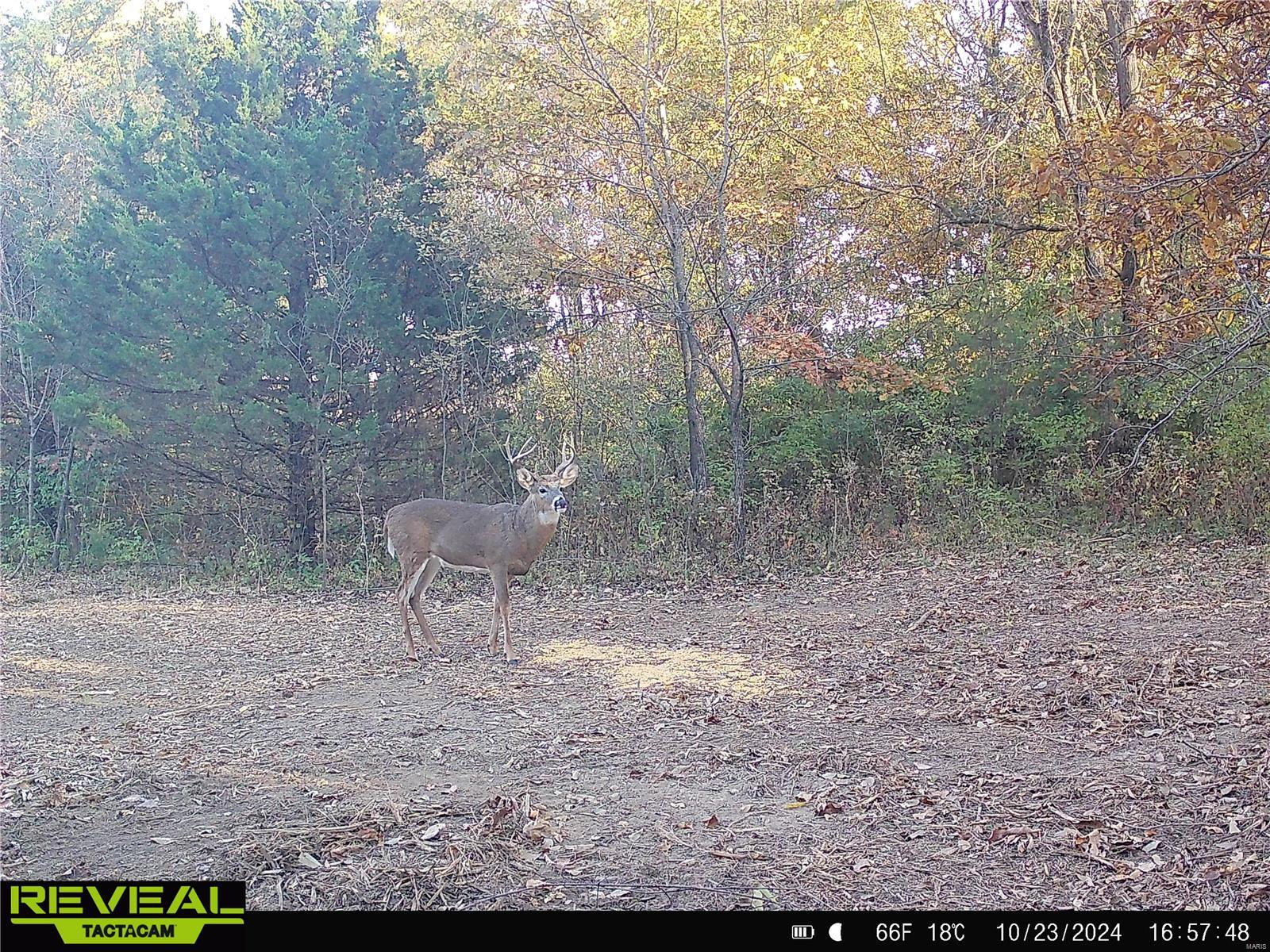 0 Mo-ww Eolia, MO 63344 - Photo 52 of 76