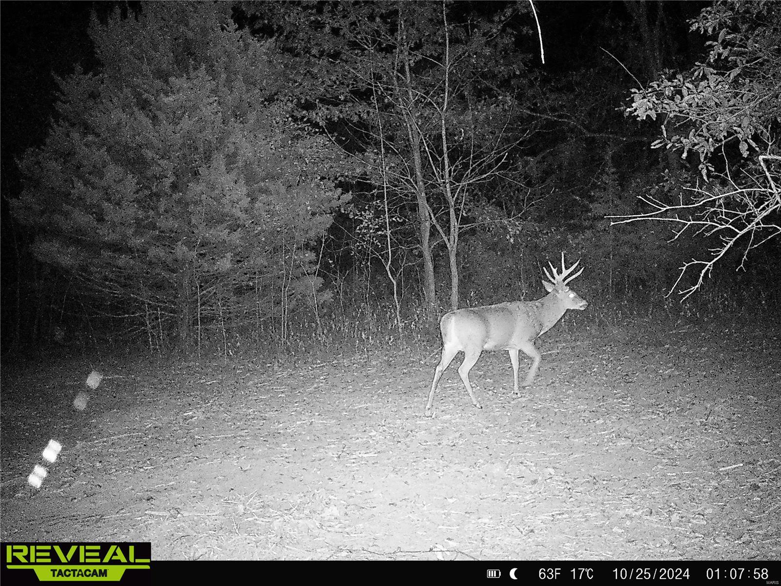 0 Mo-ww Eolia, MO 63344 - Photo 53 of 76